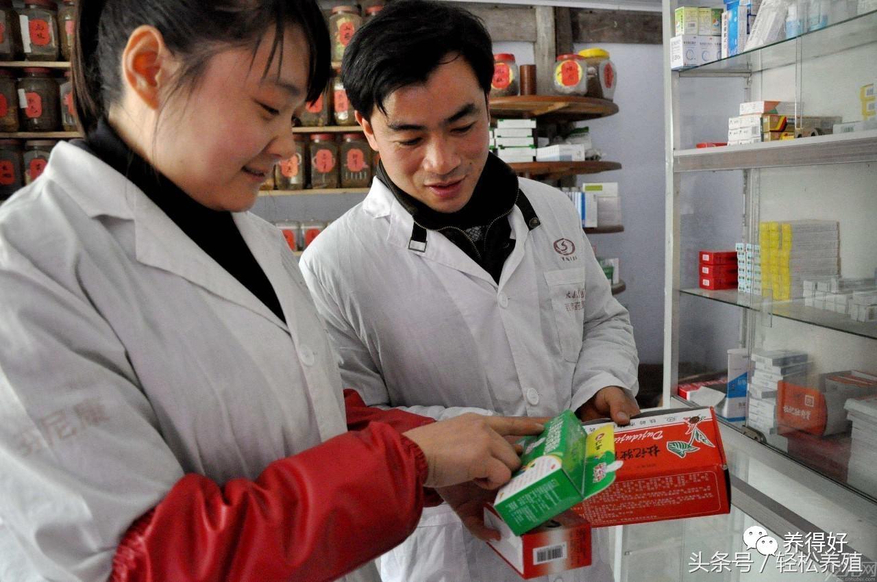 猪场怎样净化母猪,养猪场的猪怎么才能消毒