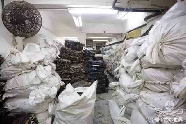 禁令之下,鱼翅照运?