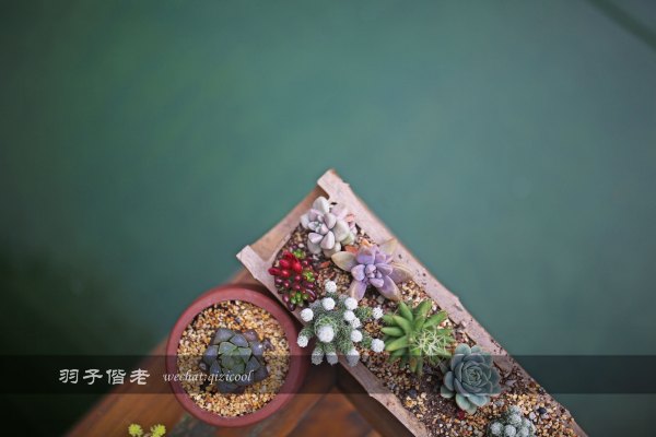 居于涟岸隐于湖，到肇庆体验离尘不离城的精致慢生活