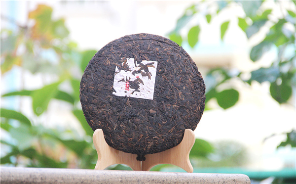 春困春茶,春困来杯春茶提提神