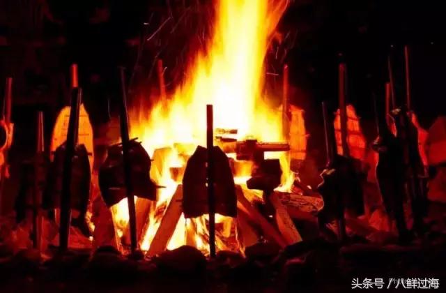 加拿大bc省鲟龙鱼,加拿大bc省鳕鱼