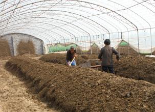 2017年下一个蓝海在农村,马上挣到人生的第一桶金