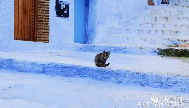 摩洛哥自由行全攻略 (最全的摩洛哥攻略)