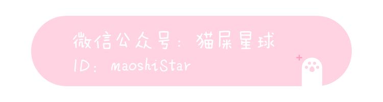 种草｜有哪些小众又实用的双肩包品牌？