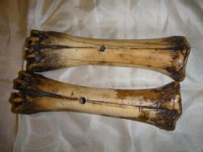 女人喝虎筋酒的功效与作用,虎筋酒真有效果吗