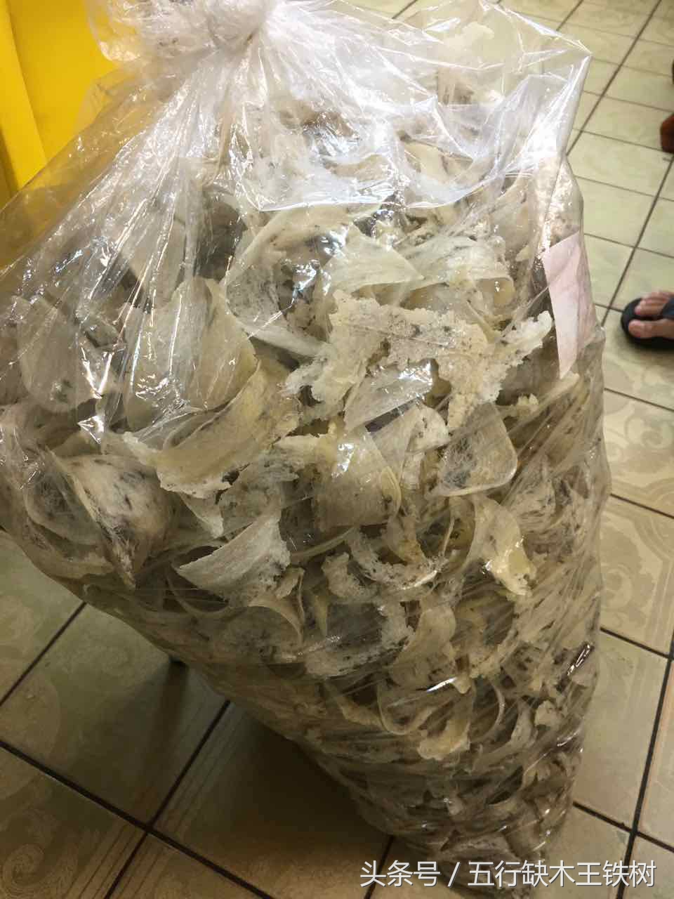 泰国燕窝什么工艺,泰国燕窝知识