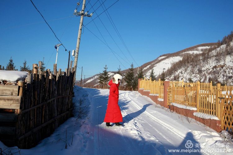 白狐千年等待只为今生相遇,白狼一生只爱一人