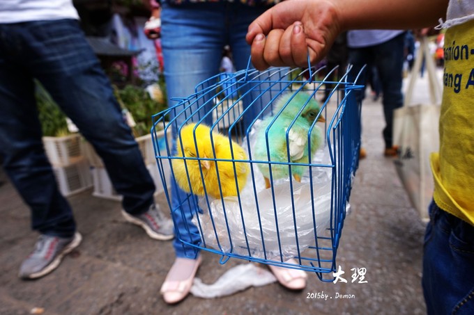 彩云以南，我们终于出发の我带着你，你带着钱！