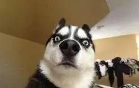 你一定要知道的6个护肤真相,洗面奶的致痘成分有哪些