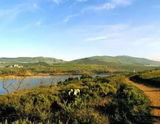 国际经验|依规划而建的第五代城市——美国尔湾城