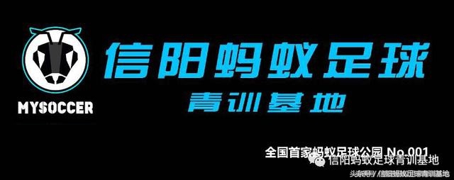 河南信阳固始足球比赛,信阳康乐体育城足协杯