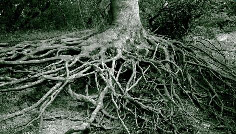 一条腿都肿了还胀怎么回事,一条腿肿的厉害