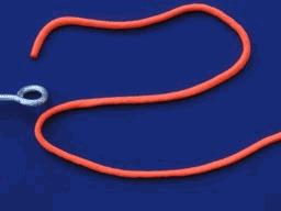 钓鱼的鱼线和竿子怎么绑,新手钓鱼入门鱼线绑法