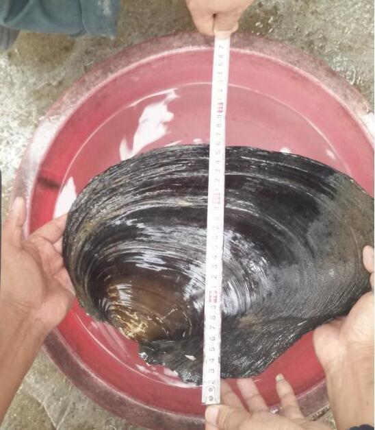 钓鱼又空军了,钓鱼钓了一天又空军了