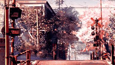 日本东京三大赏樱花胜地,2020年日本樱花季观赏最全攻略