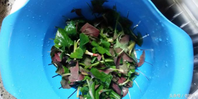 夏季吃这5种野菜清热又开胃,清热解毒的一道家常菜