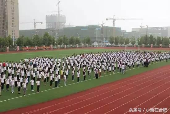 合肥46中本部升学率,贾秀英老师合肥46中