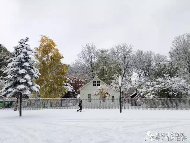 颜值与实力兼备高校,北大为何这么强大