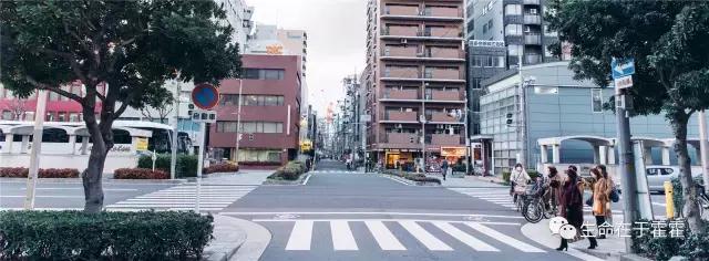 拉面 · 自动贩售机 · 雪｜云之彼岸的日本欢脱之旅