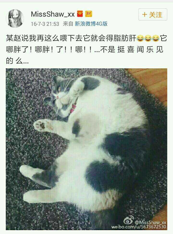 孔笙琅琊榜扮演的谁,琅琊榜欢乐颂中的孔笙