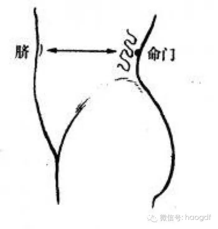 96岁国医长寿秘诀,老中医养生秘方大全图片