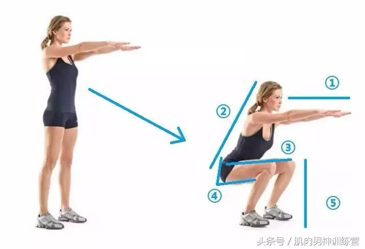 如何正确的深蹲,深蹲的好处有哪些