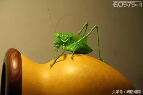 老北京奇闻逸事,老北京奇闻轶事