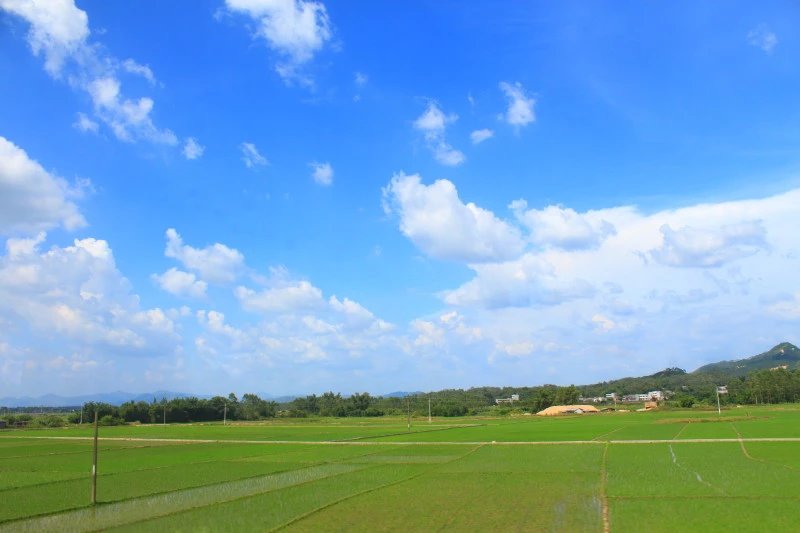 廉颇未老原唱完整版,廉颇未老完整版