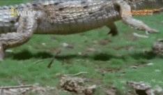 唐僧的坐骑变成了一辆车,现在唐僧骑的白龙马是真的吗