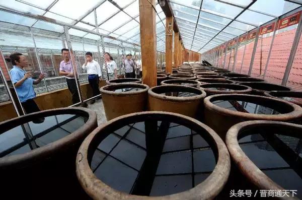 山西老陈醋到底有多牛，你知道么？