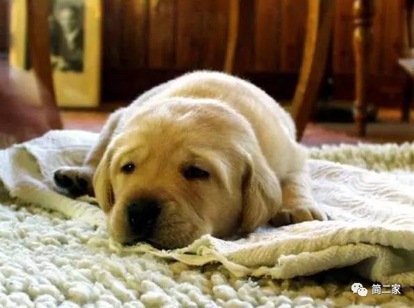 在春天来之前,一定要把家里这15件东西全都换掉!