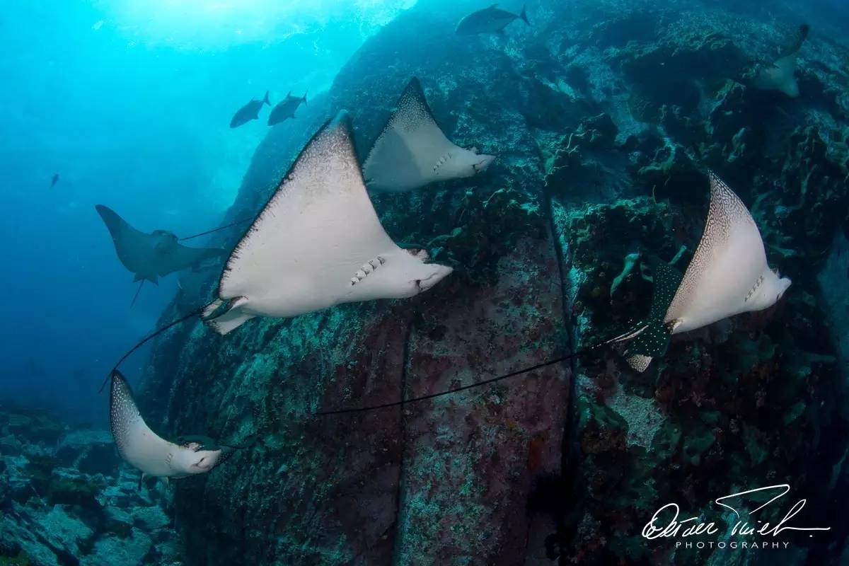 自由摄影师怎么挣钱,摄影师这行真的不挣钱吗