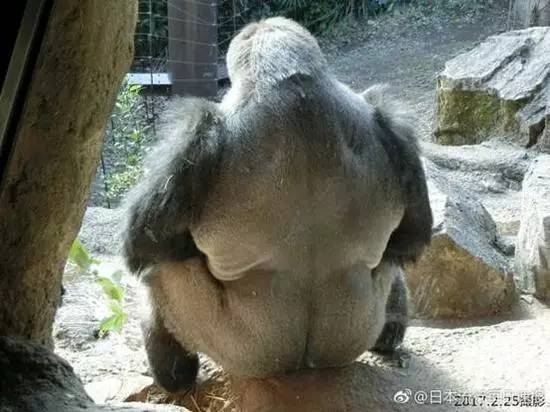 吸毒送外卖,断腿还裸贷……知乎1人分饰244角答题被封