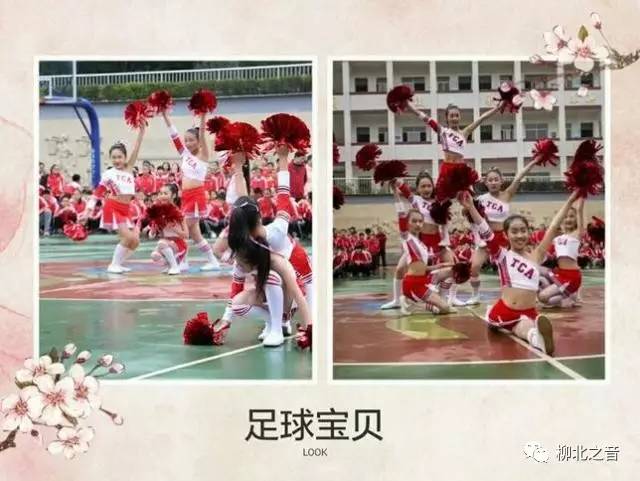 宸磋タ瓒崇悆鏁欑粌鏁欏,鏌冲笀闄勫皬瓒崇悆