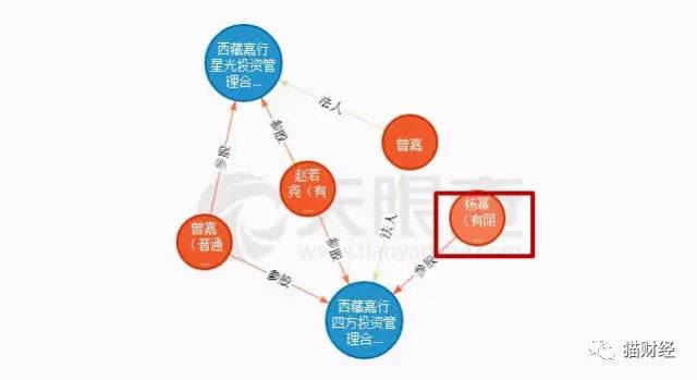 杨幂的公司股份有多少,杨幂股份是怎么被稀释的