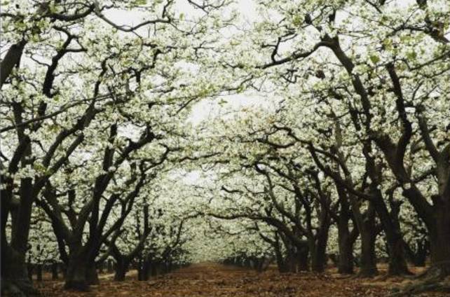 春暖花开踏青正当时完整版,春暖花开踏青季攻略