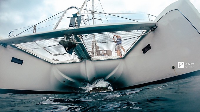 每当海岛又下起了雨,每当海岛又下起了雨读书笔记