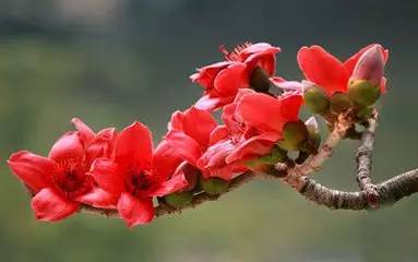 一煲汤帮你赶走湿气,一煲靓汤