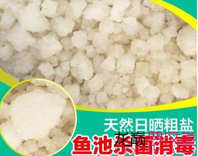 罗汉鱼饲养术语,罗汉鱼饲养法图解