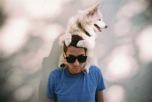 让图片超清晰的软件,一拍照就好看的美图软件