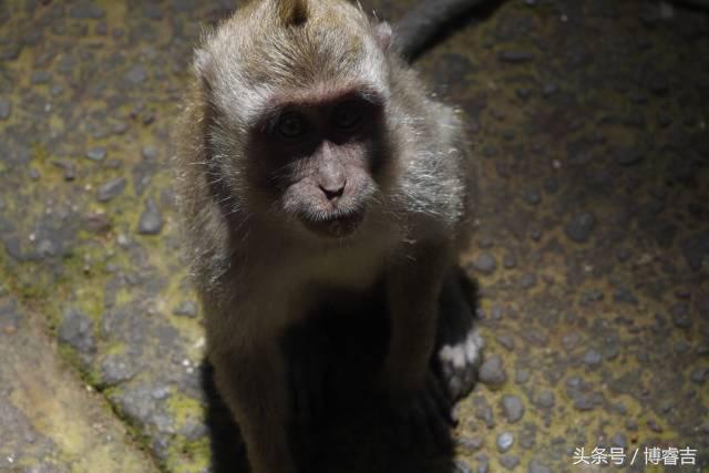 体验过你从未体验过的情感,体验你没体验过的人生