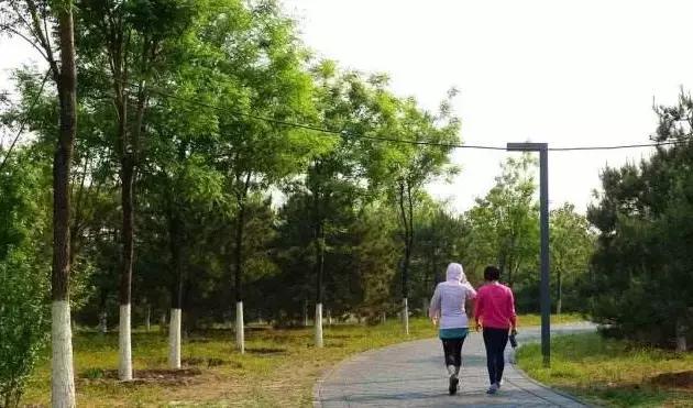 定个小目标100天,定个小目标完整版