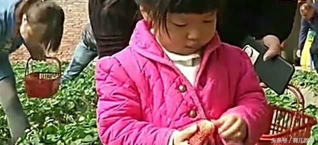 5岁小孩吃了草莓吐得厉害,小朋友吃草莓第二天呕吐发烧