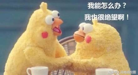 河南高校年度科技经费排名,河南高校经费排名2023何时发布