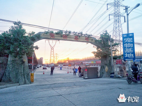 鐙楀競鎺㈣ (鎺㈣鐙楀競)