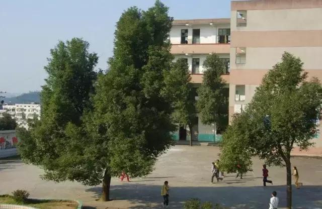 资兴在全国有多厉害,资兴发展前景如何