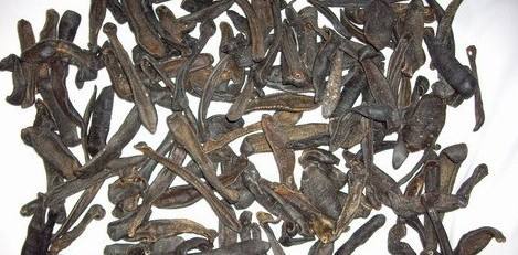 小牛喂鲸鱼奶,一天增重近两百斤!这些冷姿势,简直亮瞎眼