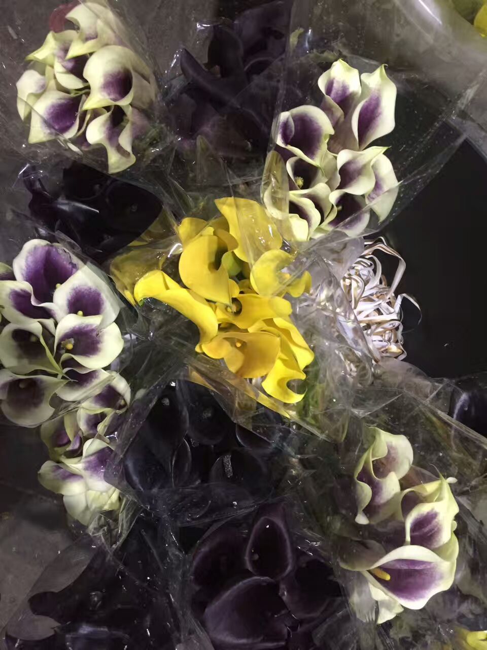 看了这些图，下次去花店你就能把花店里的花花草草叫出名字来了！