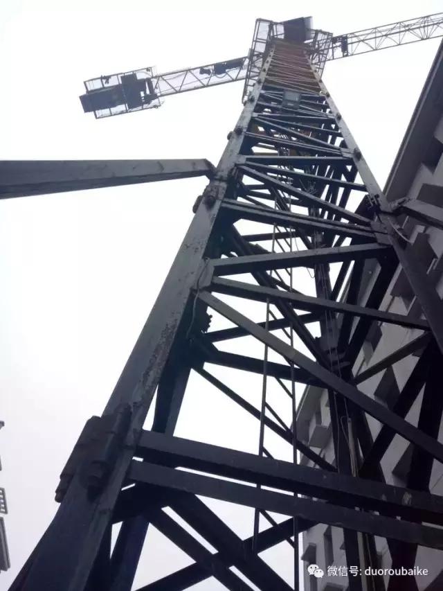 爱上多肉爱上生活,爱上多肉深似海