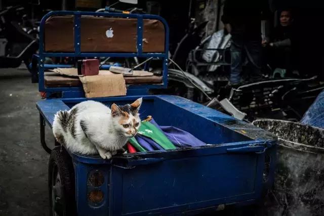 陈田原装正品拆车件汽配店,陈田原厂汽配多少钱